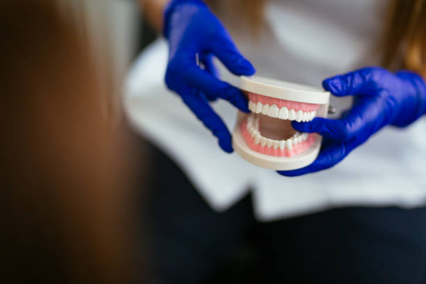 Professional Dental Services in Bell Canyon, CA